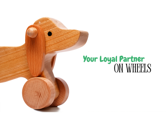 Dog Push Toy